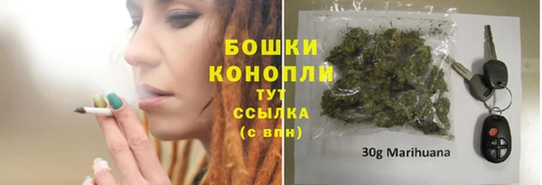 PSILOCYBIN Карталы