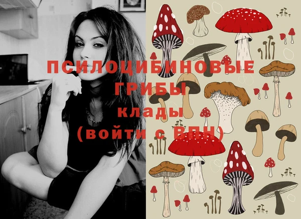 PSILOCYBIN Карталы