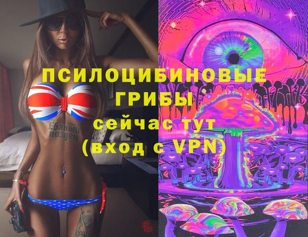 МДПВ Каменск-Шахтинский