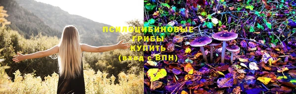 эйфоретик Касимов