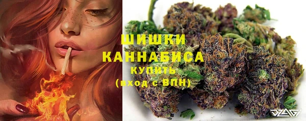 PSILOCYBIN Карталы