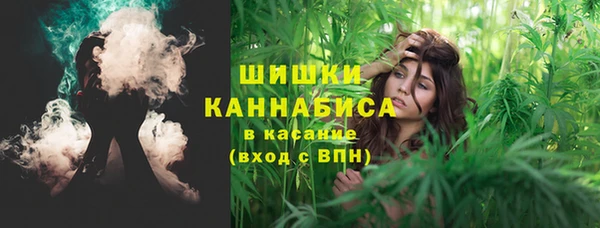 эйфоретик Касимов