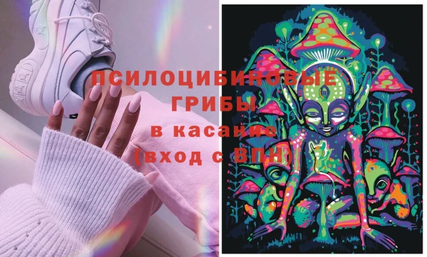 ешки Карпинск