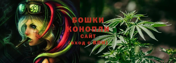ешки Карпинск