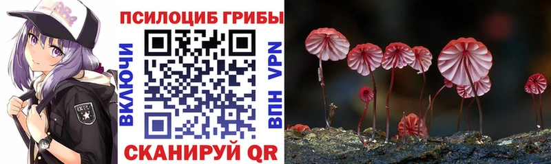 Купить  Дзержинский  Псилоцибиновые грибы прущие грибы 